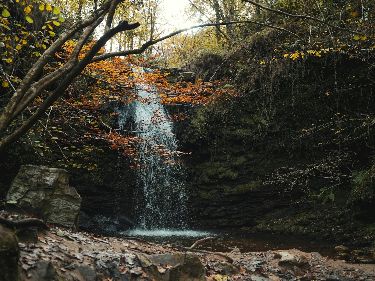 The Art of Capturing Sweden’s Hidden Beauty